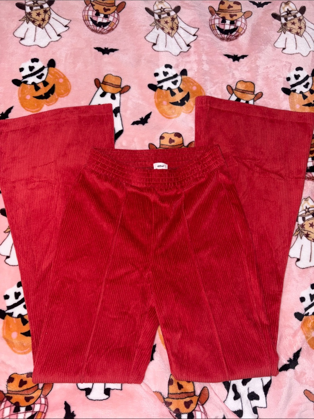 aerie Red Wide-Leg Corduroy Pants